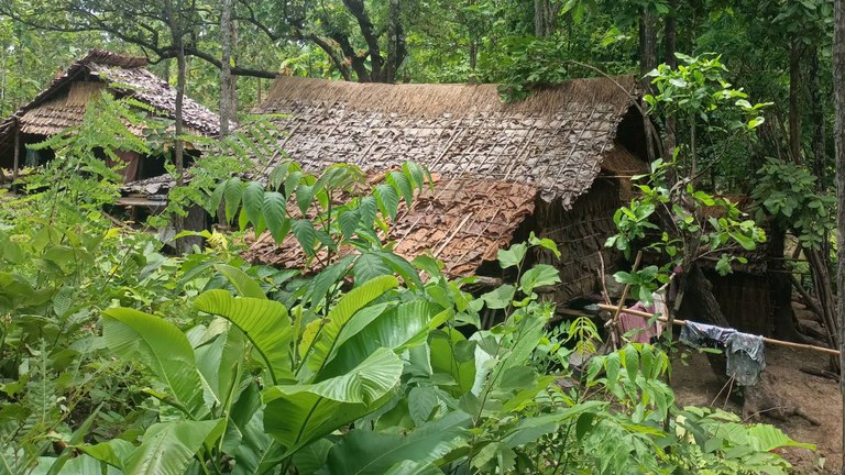 မကွေးတိုင်း၊ ဂန့်ဂေါမြို့နယ် တောတွင်းတစ်နေရာမှ မြိုင်နန်းစံ စစ်ဘေးဒုက္ခသည်စခန်းအား ၂၀၂၃ ခုနှစ် သြဂုတ်လ ၆ ရက်နေ့က တွေ့ရစဉ်။ (Photo: Citizen Journalist)