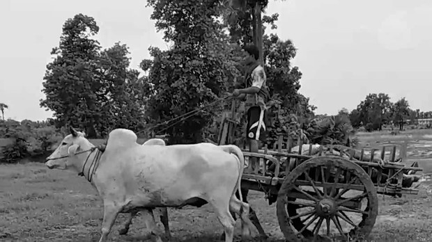 ဒီပဲယင်းမြို့နယ် ဆပ်ပြာကျင်းတိုက်ပွဲ နှစ်နှစ်ပြည့်
