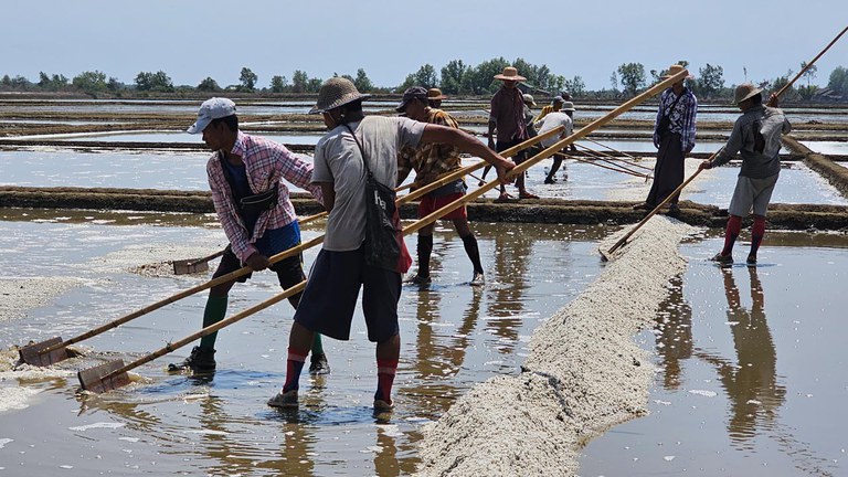 လပွတ္တာမြို့နယ်၊ ကန့်ဘလာကျေးရွာအုပ်စုရှိ နေလှန်းစားလုပ်ငန်းခွင်အား ၂၀၂၄ ခုနှစ် ဧပြီလ ၃ ရက်နေ့က တွေ့ရစဥ်။ (Photo: RFA)