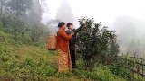 ခက်ခဲလာနေတဲ့ လက်ဖက်စိုက်တောင်သူတွေရဲ့ ဘဝ