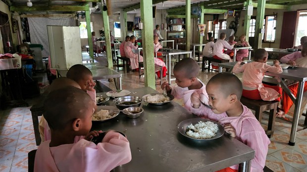 စွန့်ပစ်ခံကလေးငယ်တွေကို စောင့်ရှောက်နေတဲ့ ဆရာလေးများ စွန့်ပစ်ခံကလေးငယ်တွေကို စောင့်ရှောက်နေတဲ့ ဆရာလေးများ