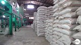 rice-622.jpg