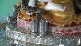 snake-622
