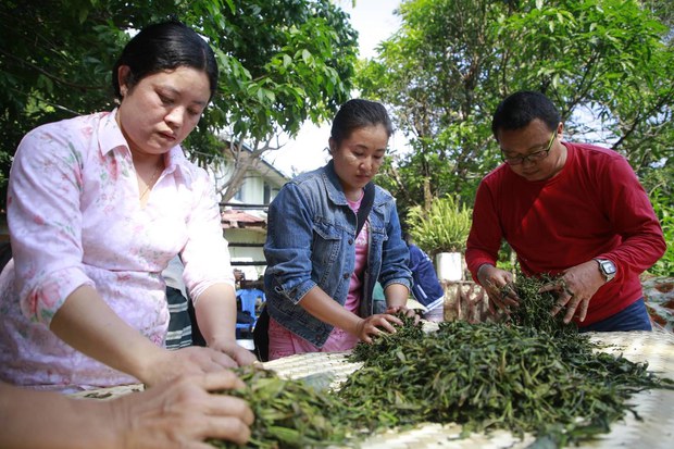 ထူးထူးခြားခြား လက်ဖက်စိုက်တဲ့ ကရင်မြို့ သံတောင်ကြီး