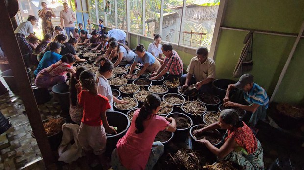 အမှိုက်ကို သဘာဝမြေသြဇာ ပြောင်းနေကြသူများ အမှိုက်ကို သဘာဝမြေသြဇာ ပြောင်းနေကြသူများ