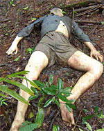 dead_porter_150px.jpg dead_porter_150px.jpg