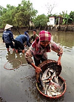 vietnam_fishers_150px.jpg vietnam_fishers_150px.jpg