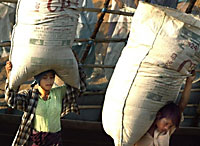 labor_200px.jpg labor_200px.jpg