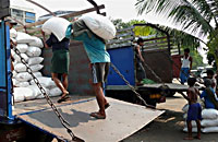 laborers_rice_200px.jpg laborers_rice_200px.jpg