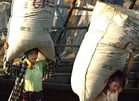child_labors_200px.jpg child_labors_200px.jpg