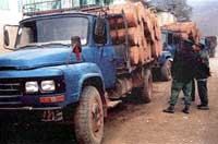 Bur_China_log01_200.jpg