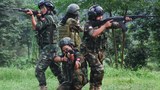 ဖလမ်းမှာ လေကြောင်းတိုက်ခိုက်မှုကြောင့် စစ်သုံ့ပန်း ခုနစ်ဦး သေဆုံး