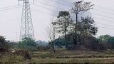 ရွှေကူမြို့နယ်မှာ တိုက်ပွဲဖြစ်ပြီးနောက် ဒေသခံ ၃၀ ကျော် အဖမ်းခံထားရ