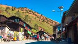 တီးတိန်မြို့နယ်က ကျောင်းဆရာမသုံးဦးကို လက်နက်ကိုင်အဖွဲ့တစ်ခု ဖမ်းဆီး