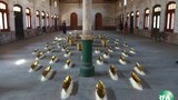 arts-show-620.jpg