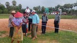 dawei-farmers-305.jpg