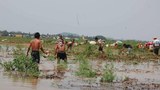 ayeyarwaddy-river-rise-620.jpg