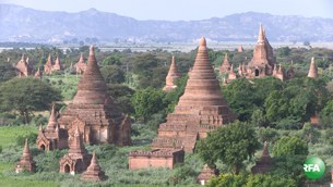 bagan-305 bagan-305