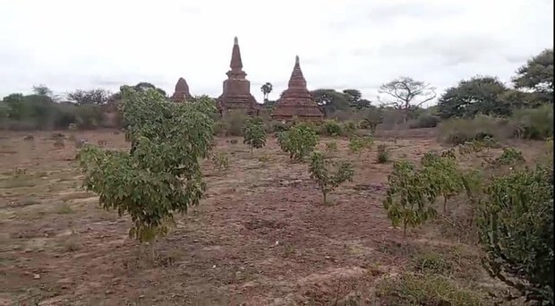 ပုဂံဒေသ လျှော်ဖြူစိုက်ပျိုးမှု ရှေးဟောင်းသုတေသန လေ့လာသူတွေ ကန့်ကွက် ပုဂံဒေသ လျှော်ဖြူစိုက်ပျိုးမှု ရှေးဟောင်းသုတေသန လေ့လာသူတွေ ကန့်ကွက်