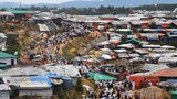 rohingya1-622.jpg
