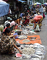 fish_market_150px.jpg fish_market_150px.jpg