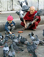 bird_human_150px.jpg