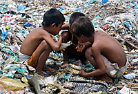 young_scavengers_200px.jpg young_scavengers_200px.jpg