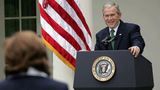 Bush