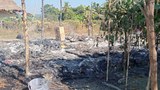 ဘူးသီးတောင်မှာ ARSA အဖွဲ့ကြောင့် အမျိုးသမီး တစ်ဦး သေဆုံး၊ သုံးဦး ဖမ်းဆီးခံရ