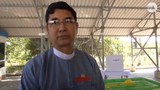 uec-tintun-620.jpg