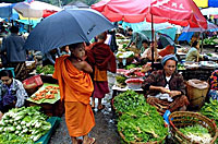 keng_tung_200px.jpg keng_tung_200px.jpg