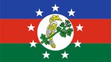 chin_flag_305.jpg