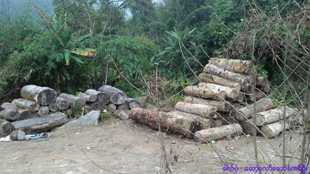 kachin-logging-622.jpg kachin-logging-622.jpg