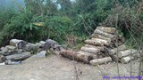 kachin-logging-622.jpg