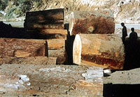 China_Burma_log_200.jpg China_Burma_log_200.jpg