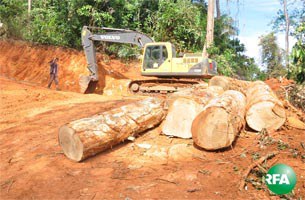 logging-305.jpg logging-305.jpg