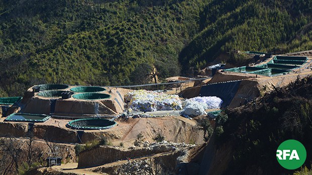rare-earth-622.jpg