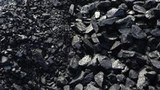 coal-305