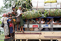 transport_bus_200px.jpg