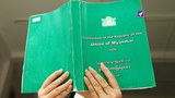 constitution-305.jpg