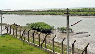 bangladesh-border-305 bangladesh-border-305