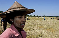 woman_farmer_200px.jpg woman_farmer_200px.jpg
