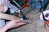 gold_mine_drug_200px.jpg gold_mine_drug_200px.jpg