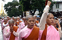 nuns_demo_200px.jpg