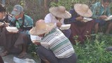 တရားစွဲခံထားရတဲ့ ဝါးခယ်မ လယ်သမားအားလုံး အာမခံရ