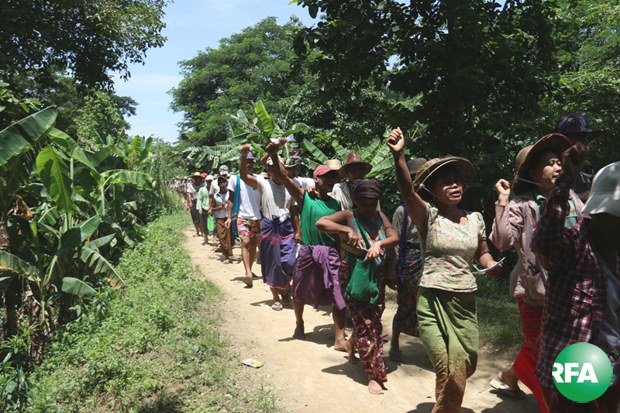 pantanaw-farmers-620.jpg pantanaw-farmers-620.jpg