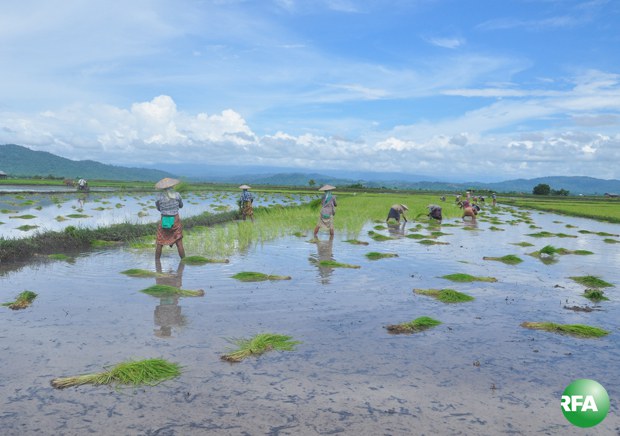 farmers-620.jpg farmers-620.jpg