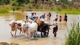 ယင်းမာပင်မြို့နယ်က စစ်ဘေးဒုက္ခသည်တွေရဲ့ တဲအိမ်တွေ မီးရှို့ခံရ