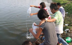 fish-free-305.jpg