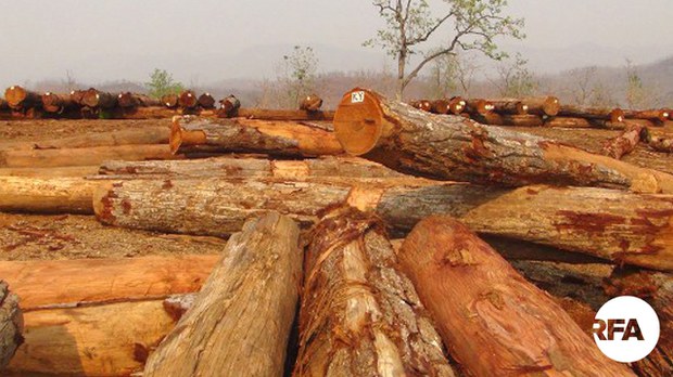 စစ်အာဏာသိမ်းပြီးနောက် ပြည်ပဝင်ငွေကို မြန်မာ့သစ်လုပ်ငန်းက ရှာဖွေပေးနေလို့ NUG ထုတ်ပြန်